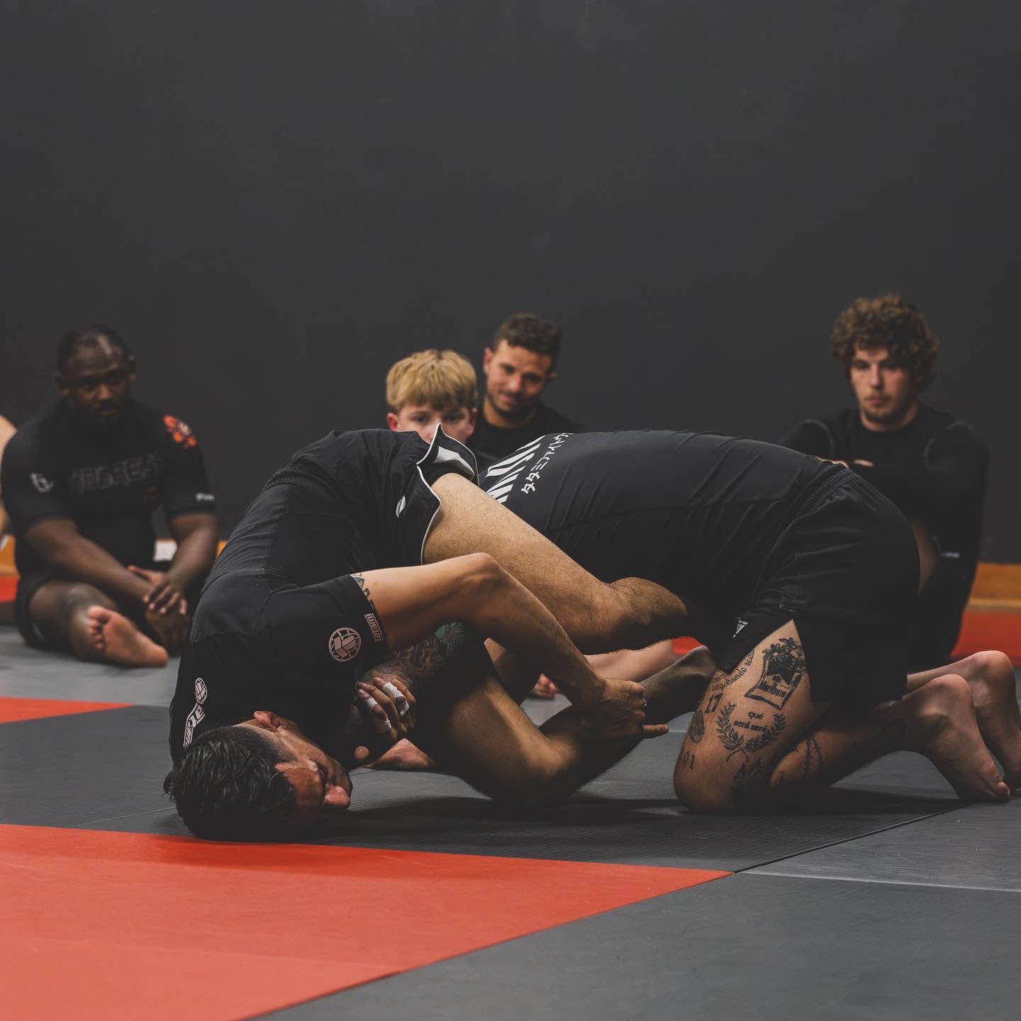 No-gi students rolling on the mats while teammates watch from the wall